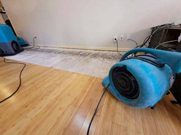 Professional Flood Damage Cleanup technician working in Phoenix, AZ
